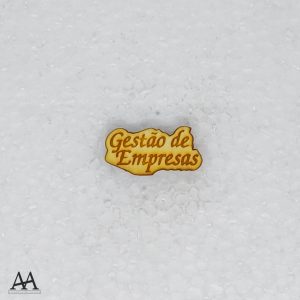 Gestão de Empresas